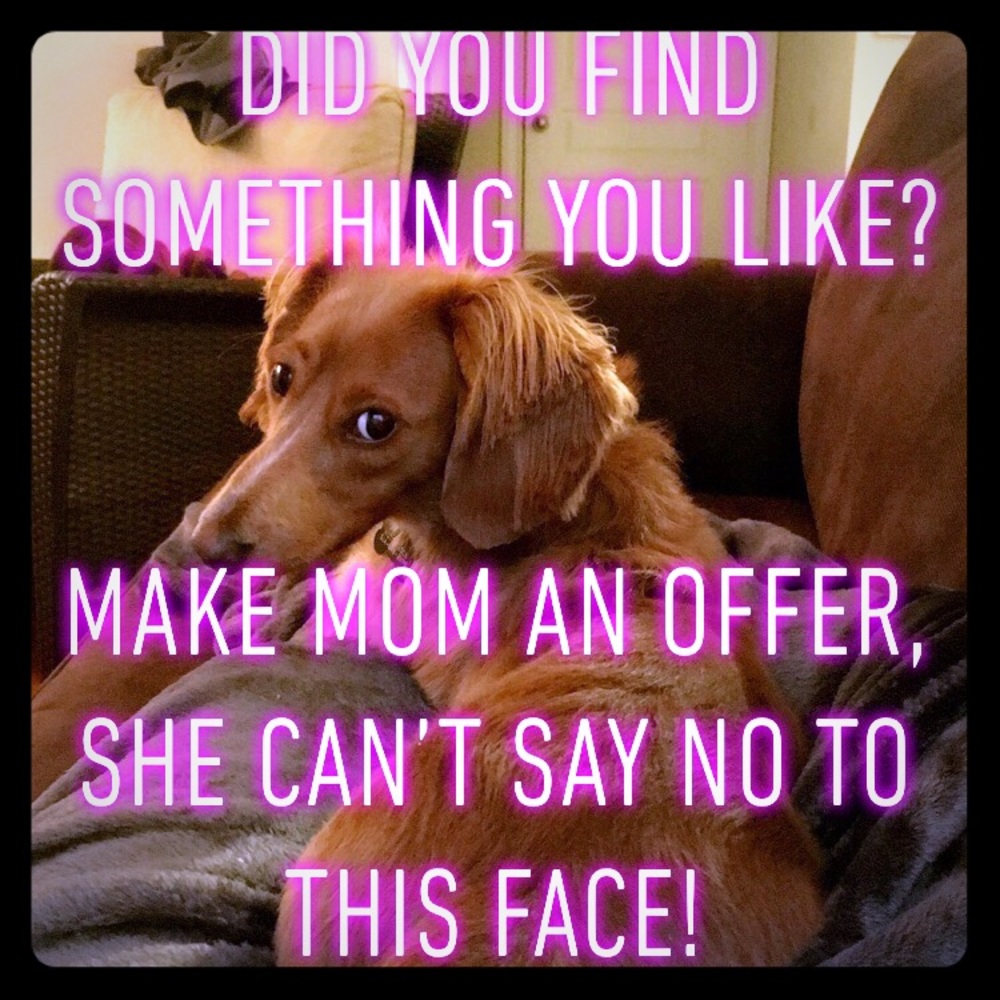 Reasonable offers welcomed!